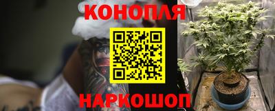 spice Славгород