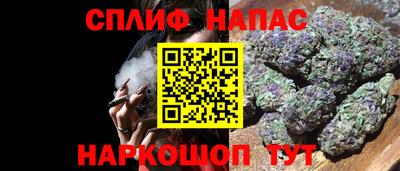 spice Славгород