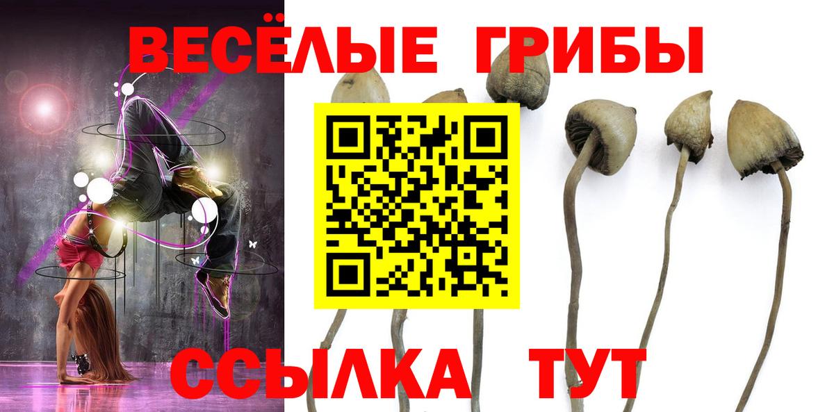 Москва  Галлюциногенные грибы MAGIC MUSHROOMS  хочу наркоту  Вход с VPN 