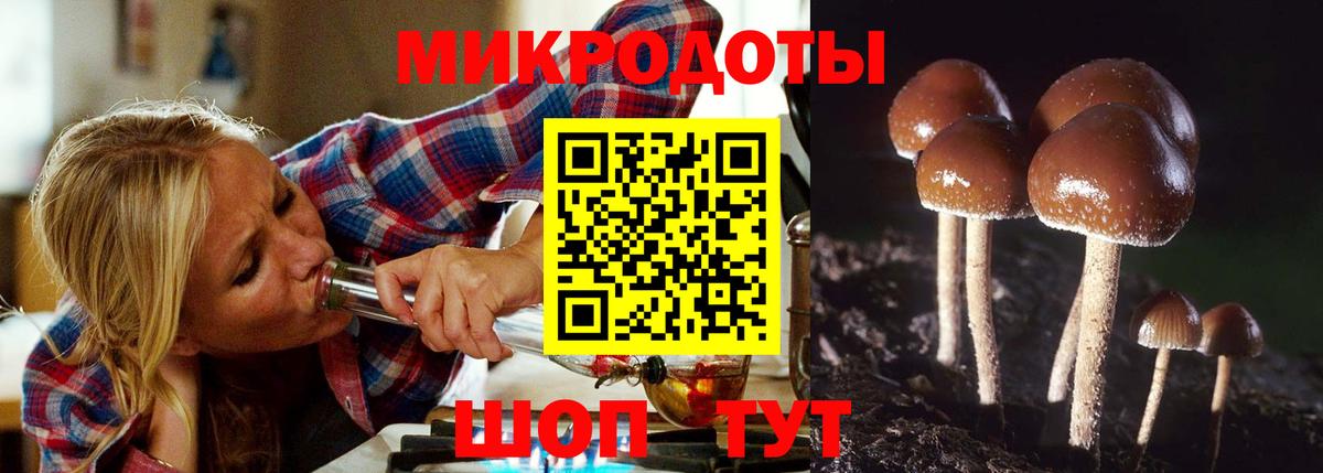 Галлюциногенные грибы Cubensis Москва