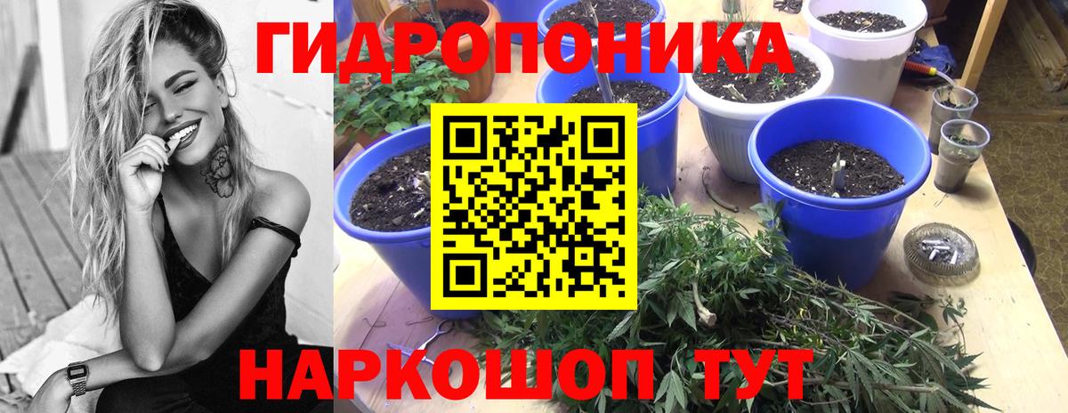 Каннабис сатива  Вход с VPN  Бошки Шишки VHQ  Москва  Канабис сатива 